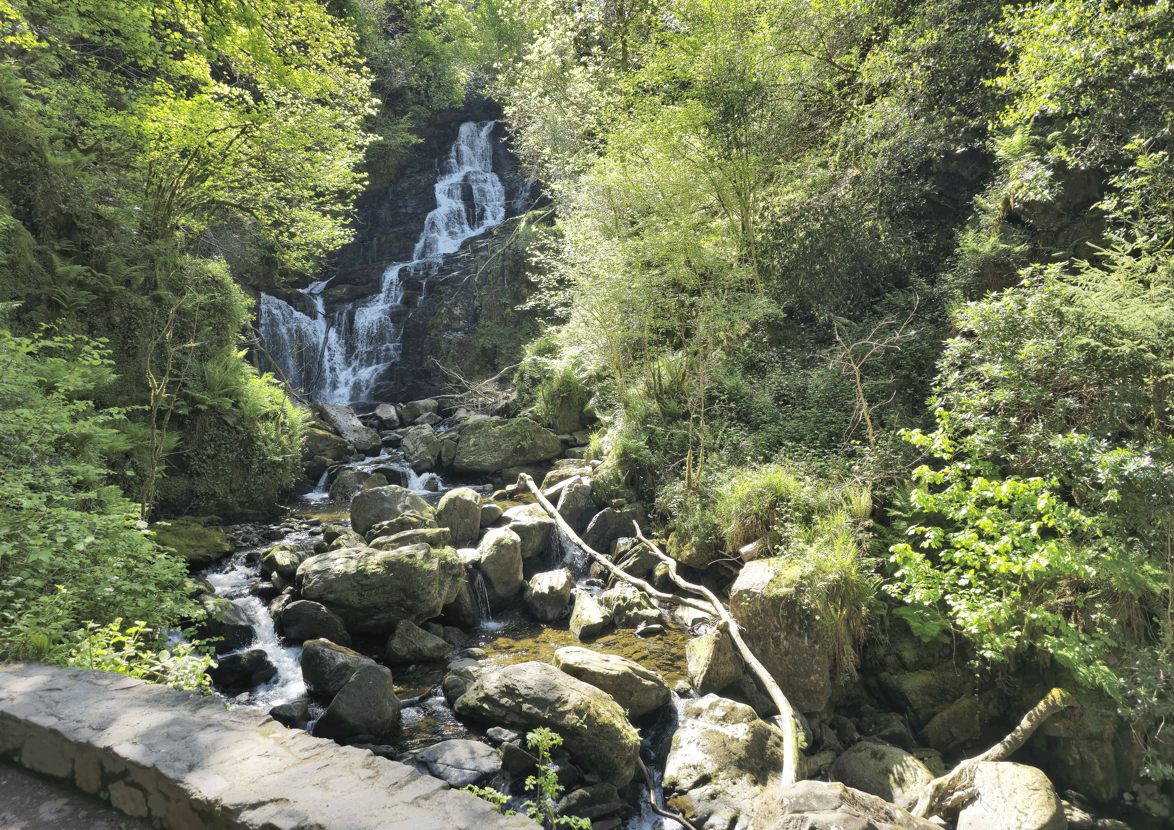 Beaufort Golf Club website preview